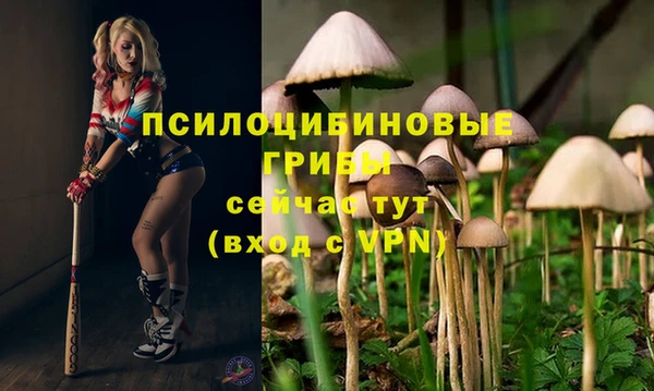 COCAINE Алексеевка